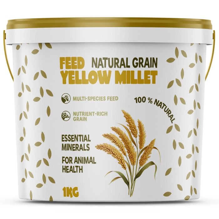Yellow Millet