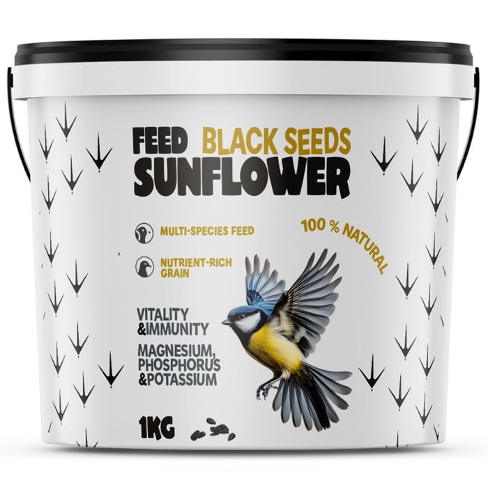 Black Sunflower Seeds