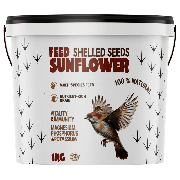 Shelled Sunflower Seeds