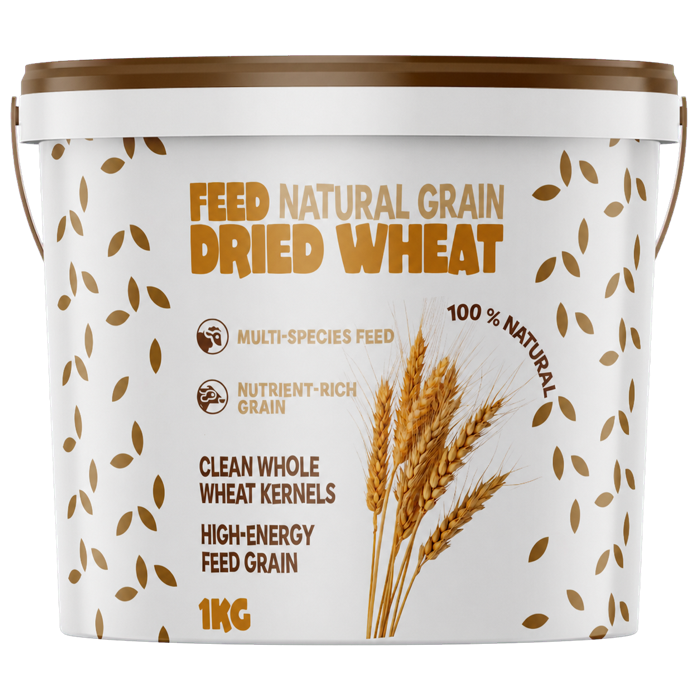 Dried Wheat