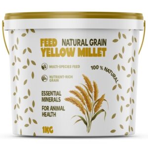 Yellow Millet