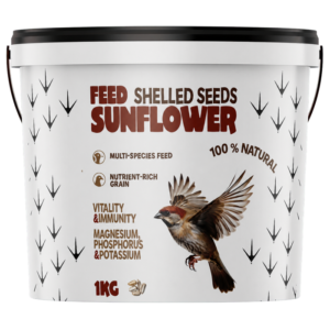 Shelled Sunflower Seeds